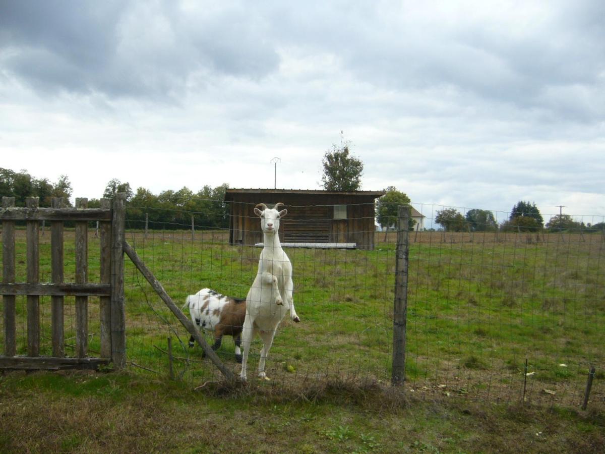 Appartement Le Domaine Des Libellules Proche Walibi Corbelin Eksteriør billede